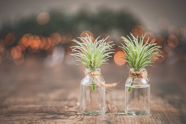 Todays Designer Kitchens pexels-nietjuhart-3123919 Get Your Kitchen Ready for the Festive Season With These Tips 